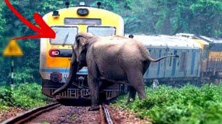 Top 10 Dangerous Train Crash Train Hit Truck & Animal