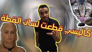 فيروس كاليسي قطّع لسان القطة .. Calicivirus