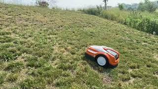 STIHL iMow robotic lawnmower installation on steep hill
