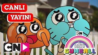  CANLI   GUMBALL  1. Sezon  Cartoon Network Türkiye