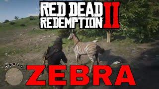 Super Rare ZEBRA Location  Red Dead Redemption 2