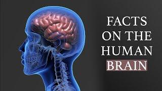 Facts on the Human Brain - Short Documentary 2023 - Abdul Ahad Productions