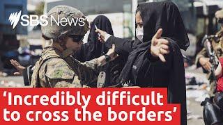 Afghan emergency visas set to expire in days  SBS News