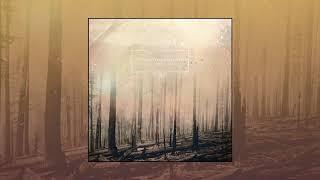 If These Trees Could Talk – Red Forest Full Album