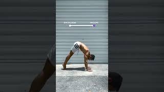 Triceps  Shoulders Pike Push Ups