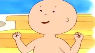 Caillous Perfect Summer  Caillou Cartoon