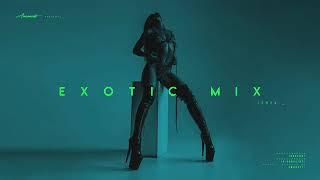 New Dark Exotic Mix 2024 Exotic Electronic Music Continuous Mix