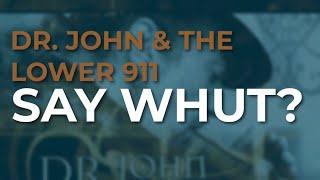 Dr. John & The Lower 911 - Say Whut? Official Audio