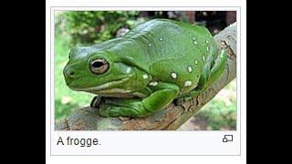 FROGGE 2 RETURN OF THE FROGGE