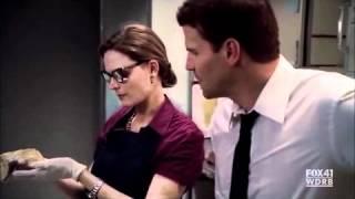 Booth and Brennan scene sexy librarian