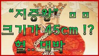 그의 음경 45cm 역사적 사실?ㅣ신라왕 지증왕ㅣ역사한입ㅣ