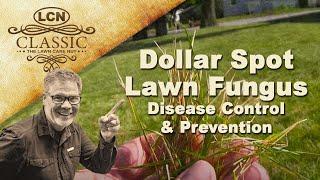 Dollar Spot Lawn Fungus  Disease Control and Prevention