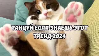 ТАНЦУЙ ЕСЛИ ЗНАЕШЬ ЭТОТ ТРЕНД 2024