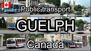 Guelph Canada. Public transport
