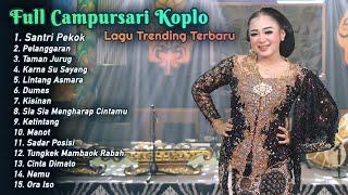 FULL CAMPURSARI KOPLO LAGU TRENDING TERBARU 2023  SANTRI PEKOK - PELANGGARAN  NIKEN SALINDRY