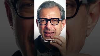 Jeff Goldblum and Roland Emmerich on Independence Day Resurgence #Shorts #Film
