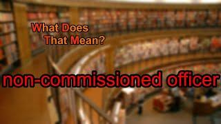 What does non-commissioned officer mean?