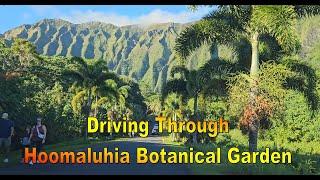 4K Driving through Hoomaluhia Botanical Garden in Kaneohe Oahu Hawaii