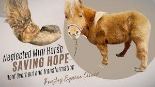 NEGLECTED mini horse -- Hoof transformation for Hope -- YOU WONT BELIEVE THE END