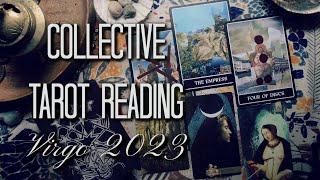Are You Getting A Bit Sick Of All This?  Collective Tarot Reading  VIRGO SEASON 2023
