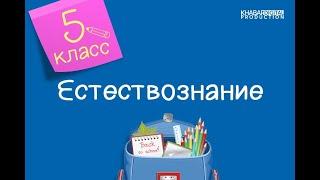 Естествознание. 5 класс. Круговорот веществ в природе. Горообразование. Выветривание 12.01.2021