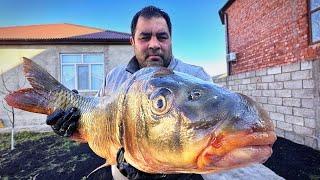 Caspian Carp Shashlik How to Cut Fish Like a Pro