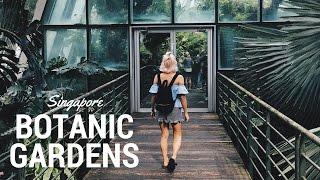 SINGAPORE BOTANIC GARDENS VLOG