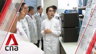 Singapore scientists uncover new fatty liver treatment in breakthrough study