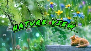 Amazing Nature View #nature#viral#video