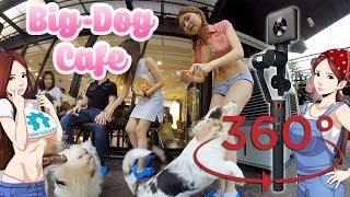 Big Dog Cafe Bangkok- Madventure Camera Moza 360º Demo