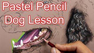 Pastel Pencil Lesson - Realistic Dog mouth  teeth - Jason Morgan Pet Portrait