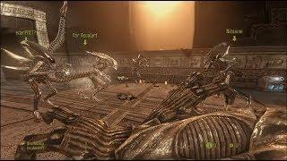 Alien vs Predator 3 Funny Moments