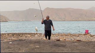 Yitti Camping & Fishing Part 2  it’s Morning fishing  Oman’s best fishing spot