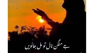 Punjabi Poetry WhatsApp Status  TikTok Punjabi Poetry  Punjabi Love Poetry Collection