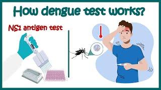 Dengue test  NS1 antigen test for Dengue  Dengue IgM & IgG antibody test  How Dengue test works