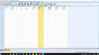 การใช้ SPSS เบื้องต้น