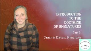 Doctrine Of Signatures pt 3  Investigating Organ & Disease Signatures