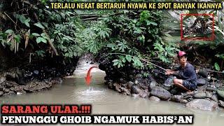 INI NGERI. MANCING IKAN DI TENGAH HUTAN TEMPAT ANGKER SARANGNYA ULAR  BENAR² TARUHANNYA NYAWA