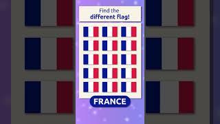 Find the Different Flag ‍️ France 