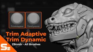 Trim Adaptive and Trim Dynamic Brushes ZBrush All Brushes