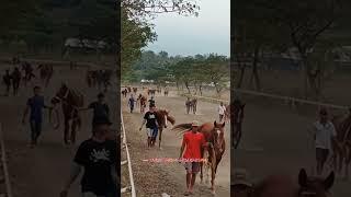 persiapan pacuan kuda piala panglima TNI 2023 gelanggang coban joyo pasuruan Jatim