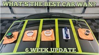 Whats The Best Car Wax? I 6 Week Update  Turtle Wax v Collinite v Bowdens v Gyeon v Artdeshine