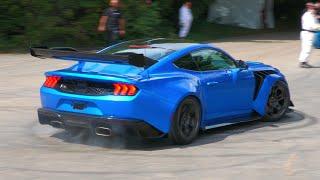 2025 Ford Mustang GTD - Brutal SOUNDS Burnouts & Accelerations