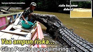 inilah momen LANGKA  Bertemu riska sedang berjemur didaratfull body..humans befriend crocodiles