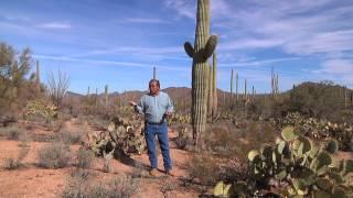 Food Medicine and Spitiruality in the Sonoran Desert