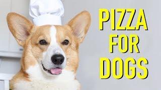 PIZZA FOR DOGS? - Topi the Corgi