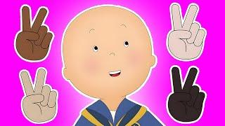 Caillou Learns About Racism  Caillou - WildBrain