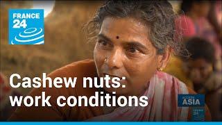 Cashew nuts Painful working conditions behind popular snack  Access Asia • FRANCE 24 English