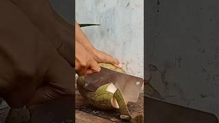 the Sliced Coconut Peeling Styles coconut cutting skills #cuttingskills #coconutmilk #cutting