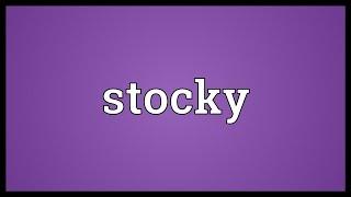 Stocky Meaning